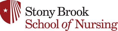 stony brook university accelerated nursing program|nursing accelerated programs nyc.